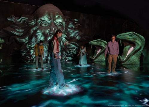 ハリー・ポッター_ビジョンズ・オブ・マジック